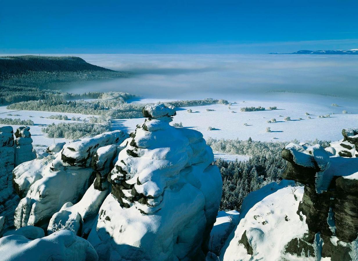 Willa Spa Scaliano Kudowa-Zdrój Buitenkant foto